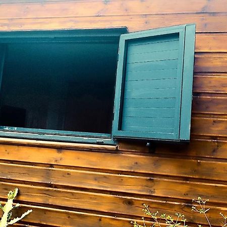 Tiny House Les Cactus - Bungalow St Gilles Les Hauts Saint-Paul Экстерьер фото